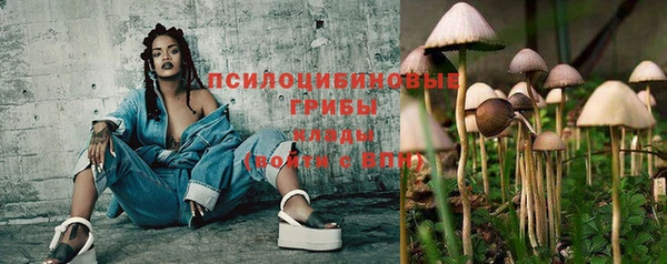 МДПВ Ладушкин