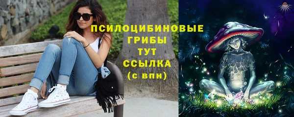 мдпв Лабытнанги